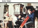 3 denon suk trio/smetana quartet dvorak/archduke ex+/nm