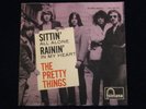 THE  PRETTY  THINGS        