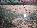 Stefan Diestelmann & Roykey Wydh Auf ein Wort  Blues LP