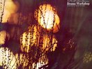The Seasons: Radiophonic Music & Poetry LP (Plus CDR)