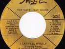 Sister Funk Soul 45 - Angela Jefferson - M-I-C - mp3