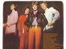 the herd - fontana years       DLP- reissue