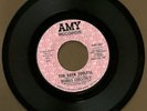 Morris Chestnut TOO DARN SOULFUL / NORTHERN SOUL AMY981