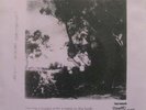 Eddy Current Suppression Ring DEMON'S Aussie RARE 7