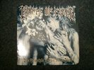 CRADLE OF FILTH THE PRICIPLE  LP   MEATL DEATH GOTH