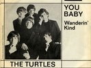 7 45 Turtles-You Baby Wanderin Kind Polydor Int. BEAT