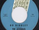 KILLER FUZZ GARAGE MOVER   The Juveniles   BO DIDDLEY