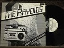 the RAYDIOS Original Demo Recordings TEENGENERATE punk