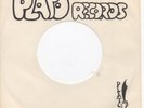 The Outcasts Loving You RARE Garage Psych 45 Plato HEAR