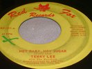 Hear Rocker 45 Terry Lee & The Revelers on Red Fox Baby