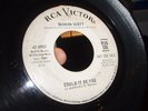 SHARON SCOTT - COULD IT BE YOU - RCA - LISTEN