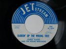 JAMES YOUNG Barkin Up The Wrong Tree FUNK 45 NM HEAR