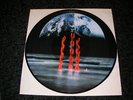 In Flames - Lunar Strain Picture Lp Vinyl
