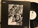 Astre-Foresight US private press prog lp