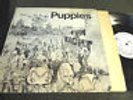 Puppies Fun is Right PRIVATE LP '81 Trees dane conover kim fowley synth wavepunk