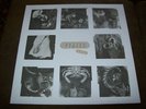 Pixies Rare Promo Only Live 1-Sided LP 4AD 1989 Mint