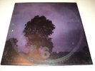 AFTERHOURS DURING CHRISTINE'S SLEEP LP 1° ALBUM VINILE
