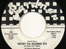 Modern Soul Boogie - DAVID NEVIN on Pardner | NM LISTEN