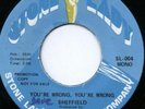FUNK 45- Sheffield- You're Wrong- LISTEN