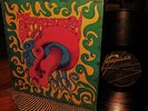 ORIG 1969 THE SACRED MUSHROOM Fuzzed Blues Garage PSYCH