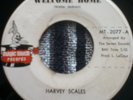 HARVEY SCALES - MAGIC TOUCH - NORTHERN 45