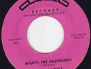 Rockabilly 45 Ditto 126 Pink Bob & Lucille Password