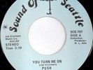rare Modern Soul 45 PUSH you turn me on Listen