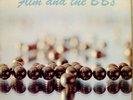 FLIM & THE B.B.S s/t Audiophile LP mint- Private MN