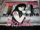 DRYSILL-WELCOME TO THE SHOW LP RARE ICELAND ROCK