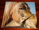 TERVEET KADET  THE HORSE  ORIGINAL LP  1985  TK  KBD