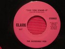 INCREDIBLE FOG 45- rare Obscure Virginia Psych HEAR