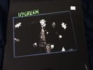 IVY GREEN - S/T, dutch punk, termbo, hozac, oop, rare