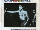 ADAM AND THE ANTS 