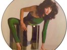 KATE BUSH THE KICK INSIDE UK IMPORT PICTURE DISC 1978