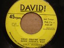 LEILA DUCHENSE Down Jamaica Way ISLAND SISTER FUNK 45