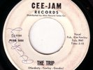 psyche 45 THE TRIP/COME ON COME ON BY GODFREY CEE-JAM 3