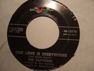 THE SAPPHIRES  -  OUR LOVE IS EVERYWHERE