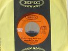 LOOKING GLASS   BRANDY ( YOU'RE A FINE GIRL)  PROMO  45