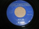 the (Rockin') Ramrods-Mr.Wind/Bright Lit Blue Skies