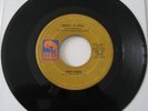GINO PARKS - NERVES OF STEEL (CRAZY HORSE) VG++ ORIG.
