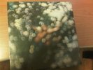 LP RARO ITA PINK FLOYD OBSCURED BY CLOUDS SIGILLATO