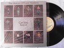 The Voices Of East Harlem LP Can You Feel It ORIG 74 EX