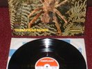 THE WEB Theraphosa Blondi LP 1969 DERAM 1st 