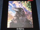 STRANGLERS The Raven UK 79 RARER 3D in STUNNING MINT