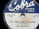 BLUES 78-LEE JACKSON-I'LL JUST KEEP WALKIN /FISHIN IN M