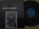 Saltcreek I Private Press Folk/Country/Rock 70s Shrink