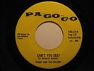 Psych Garage 45 COUNT & THE COLONY on PA-GO-GO HEAR