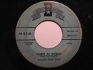 Rockabilly/Doo-Wop 45 DON ELLIS Come In World BEE HEAR