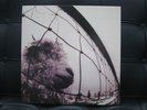 Pearl Jam VS lp vinyl record 12