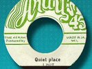 Original PARAGONS- QUIET PLACE- ANDY'S- NM-  ?